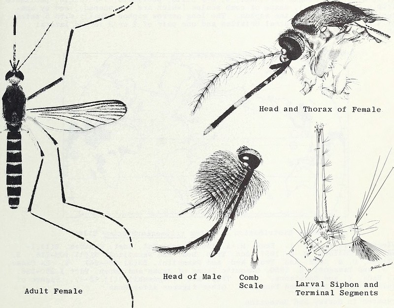 true pest control gold coast